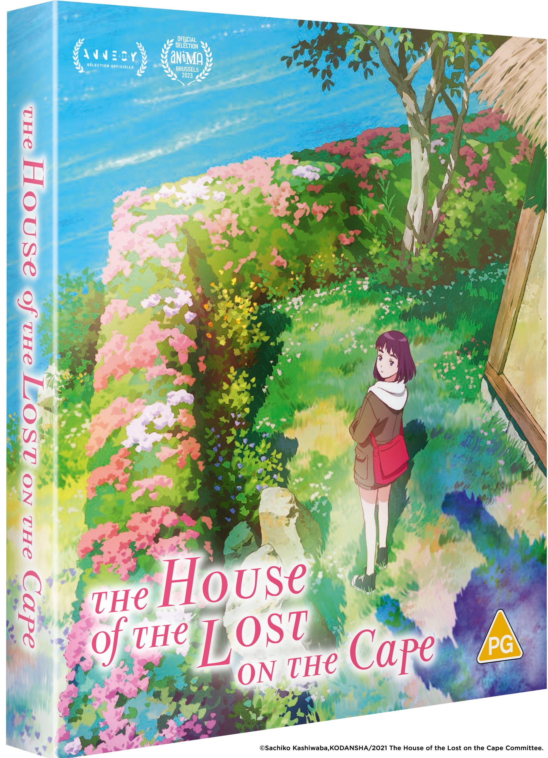 The House of the Lost On the Cape