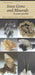 Iowa Gems and Minerals in Your Pocket