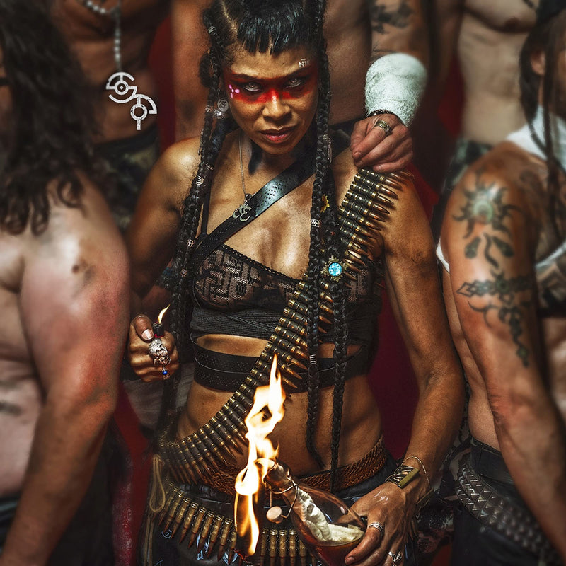 Shaka Ponk - Shaka Ponk (Cd)
