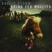 Gaelic Storm-Bring Yer Wellies