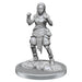 WizKids Pathfinder Deep Cuts: Medio Elfo Monje Mujer Pathfinder Miniaturas