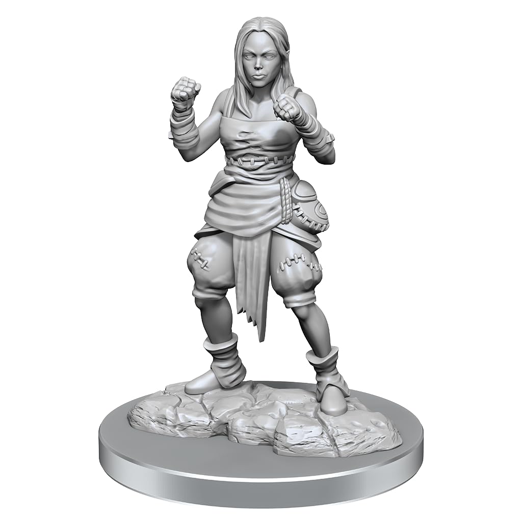 WizKids Pathfinder Deep Cuts: Medio Elfo Monje Mujer Pathfinder Miniaturas