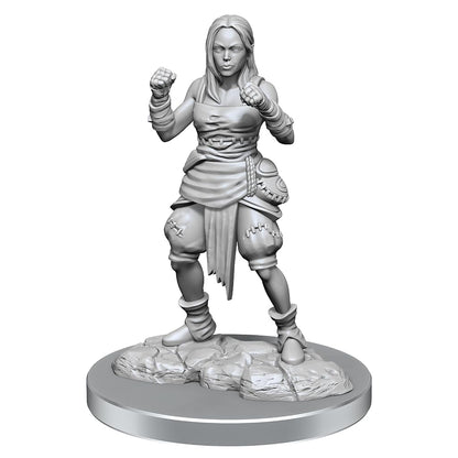 WizKids Pathfinder Deep Cuts: Medio Elfo Monje Mujer Pathfinder Miniaturas