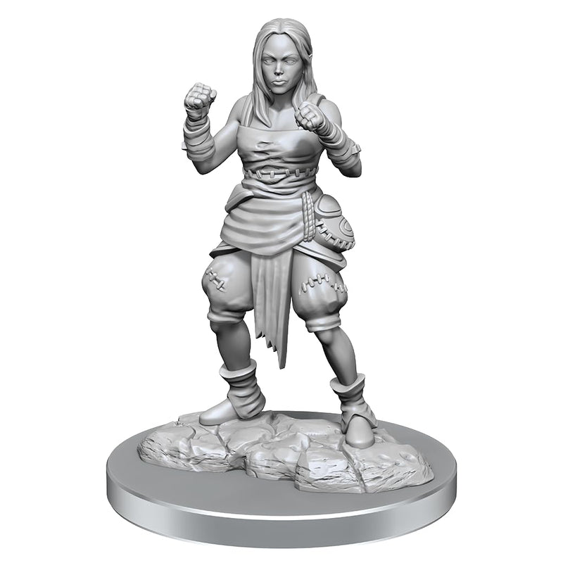 WizKids Pathfinder Deep Cuts: Medio Elfo Monje Mujer Pathfinder Miniaturas