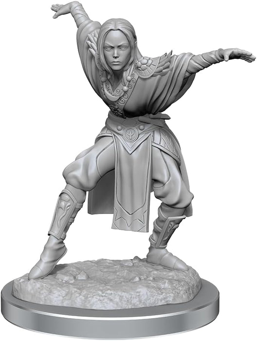 WizKids Pathfinder Deep Cuts: Medio Elfo Monje Mujer Pathfinder Miniaturas