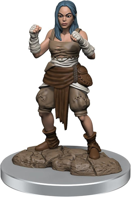 WizKids Pathfinder Deep Cuts: Medio Elfo Monje Mujer Pathfinder Miniaturas