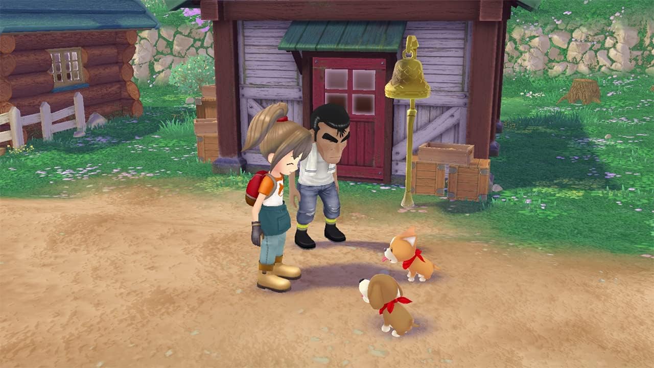 Story Of Seasons: A Wonderful Life (Limited Edition)