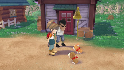 Story Of Seasons: A Wonderful Life (Limited Edition)