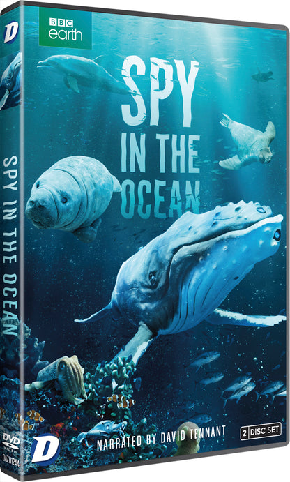 Spy in the Ocean