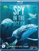 Spy in the Ocean