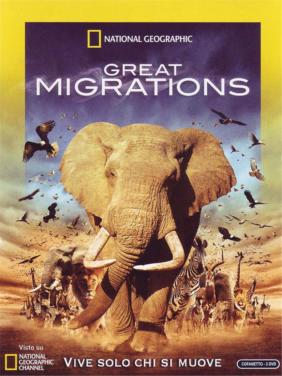 Great Migrations (Box 3 Dvd National Geographic