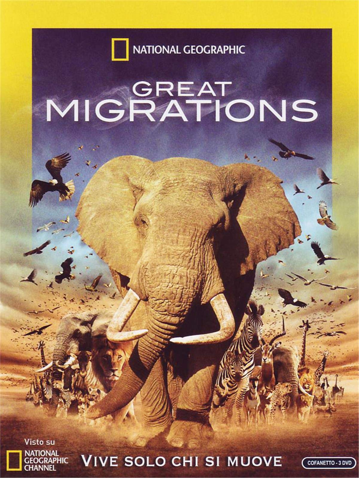 Great Migrations (Box 3 Dvd National Geographic