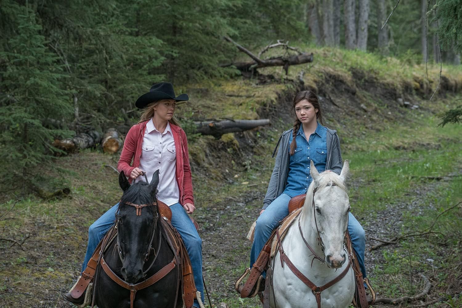 Heartland - Paradies für Pferde, Staffel 9 (Neuauflage