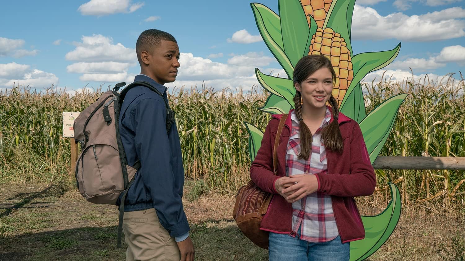Heartland - Paradies für Pferde, Staffel 9 (Neuauflage
