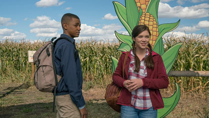 Heartland - Paradies für Pferde, Staffel 9 (Neuauflage