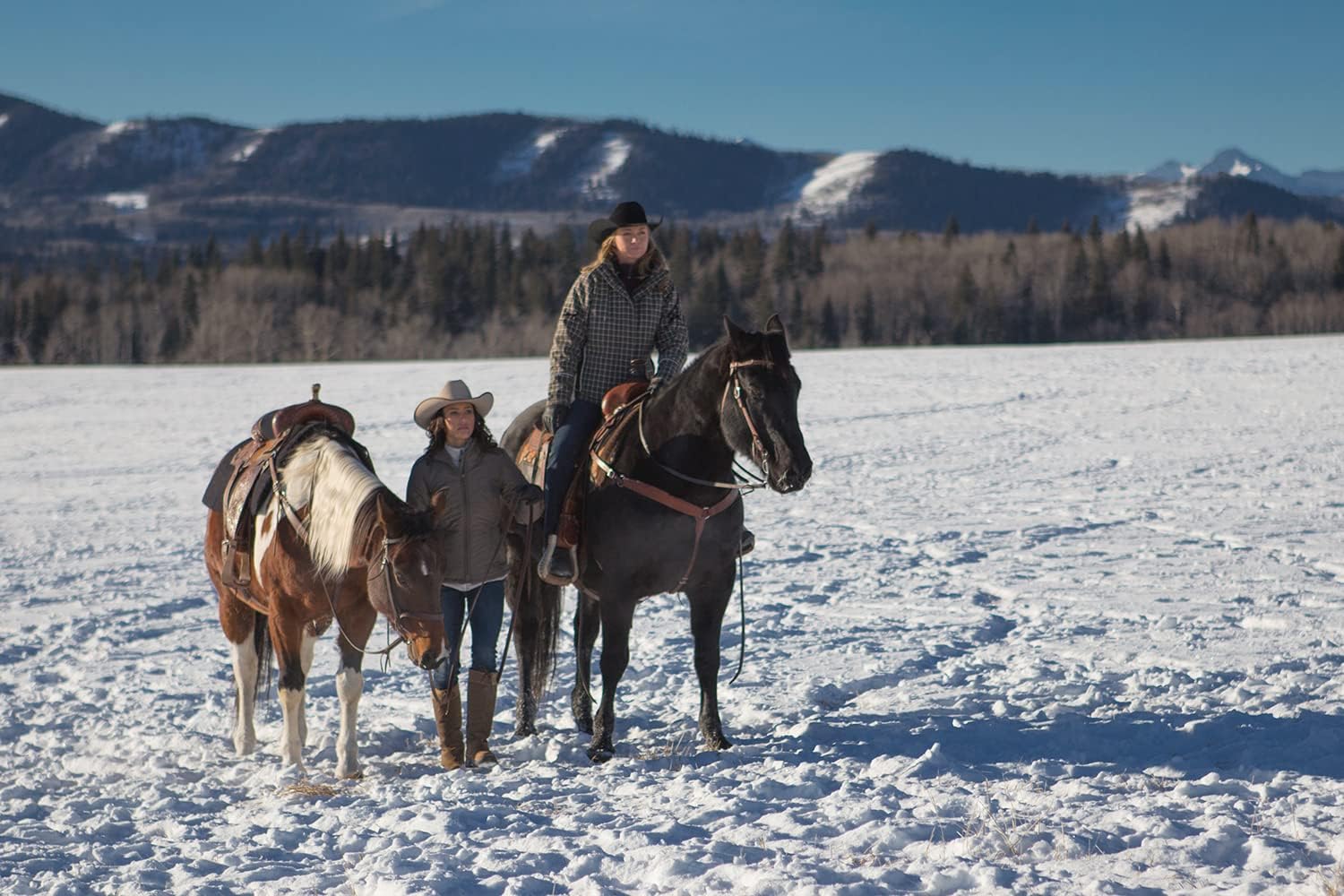 Heartland - Paradies für Pferde, Staffel 9 (Neuauflage