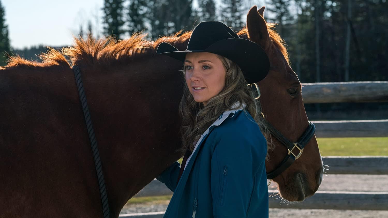 Heartland - Paradies für Pferde, Staffel 9 (Neuauflage