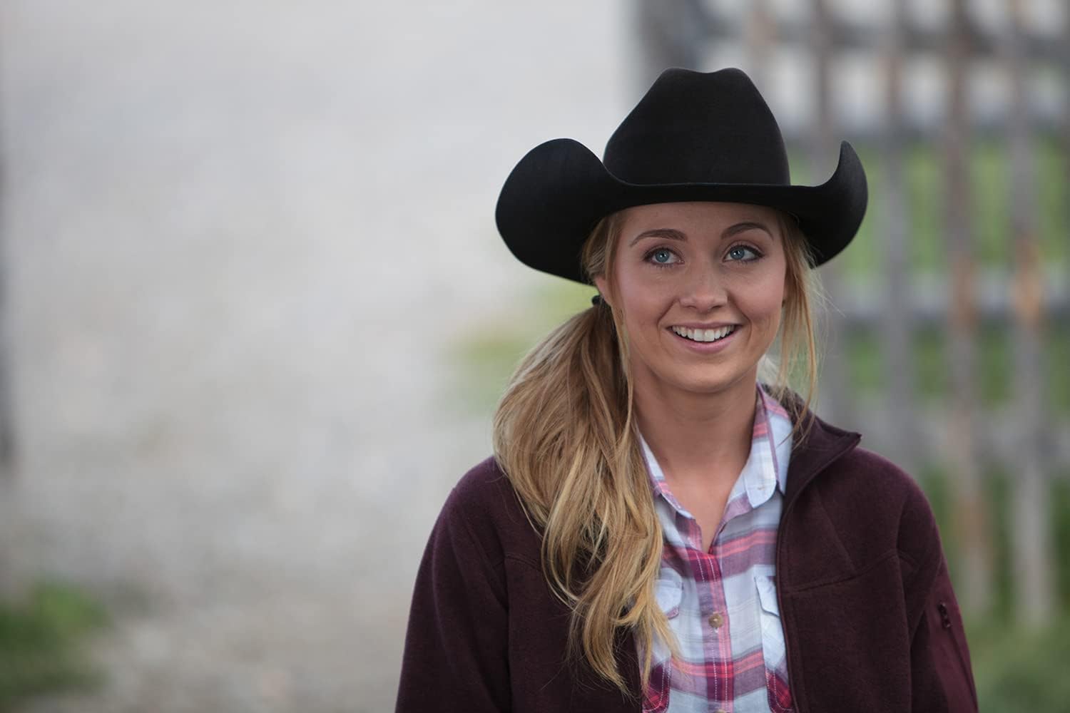 Heartland - Paradies für Pferde, Staffel 8 (Neuauflage