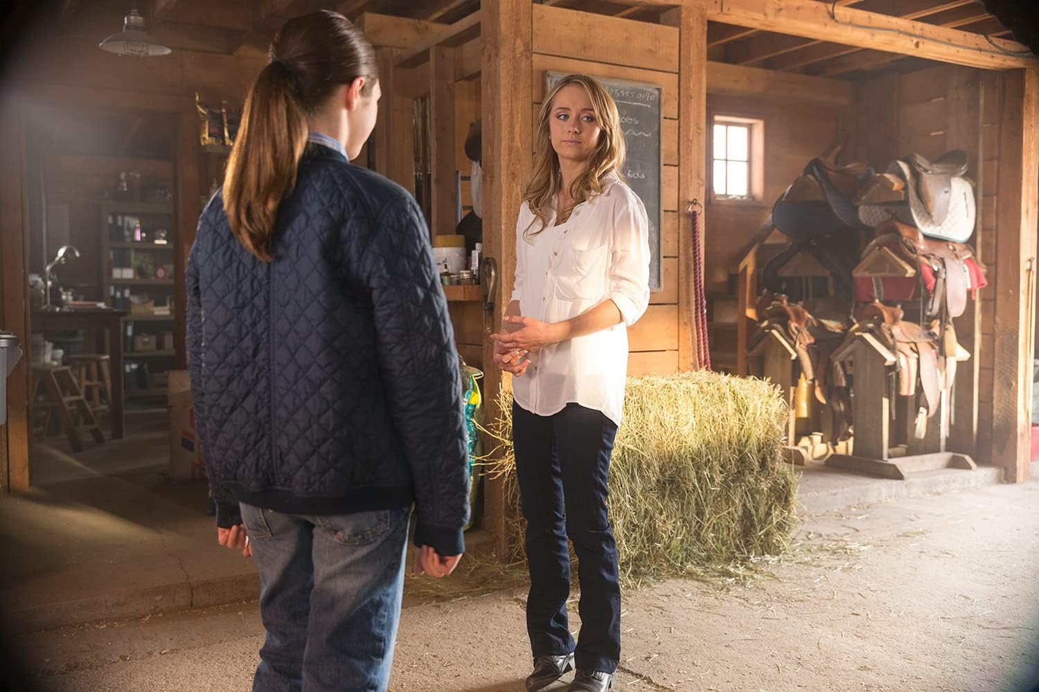 Heartland - Paradies für Pferde, Staffel 8 (Neuauflage