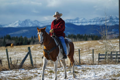 Heartland - Paradies für Pferde, Staffel 8 (Neuauflage