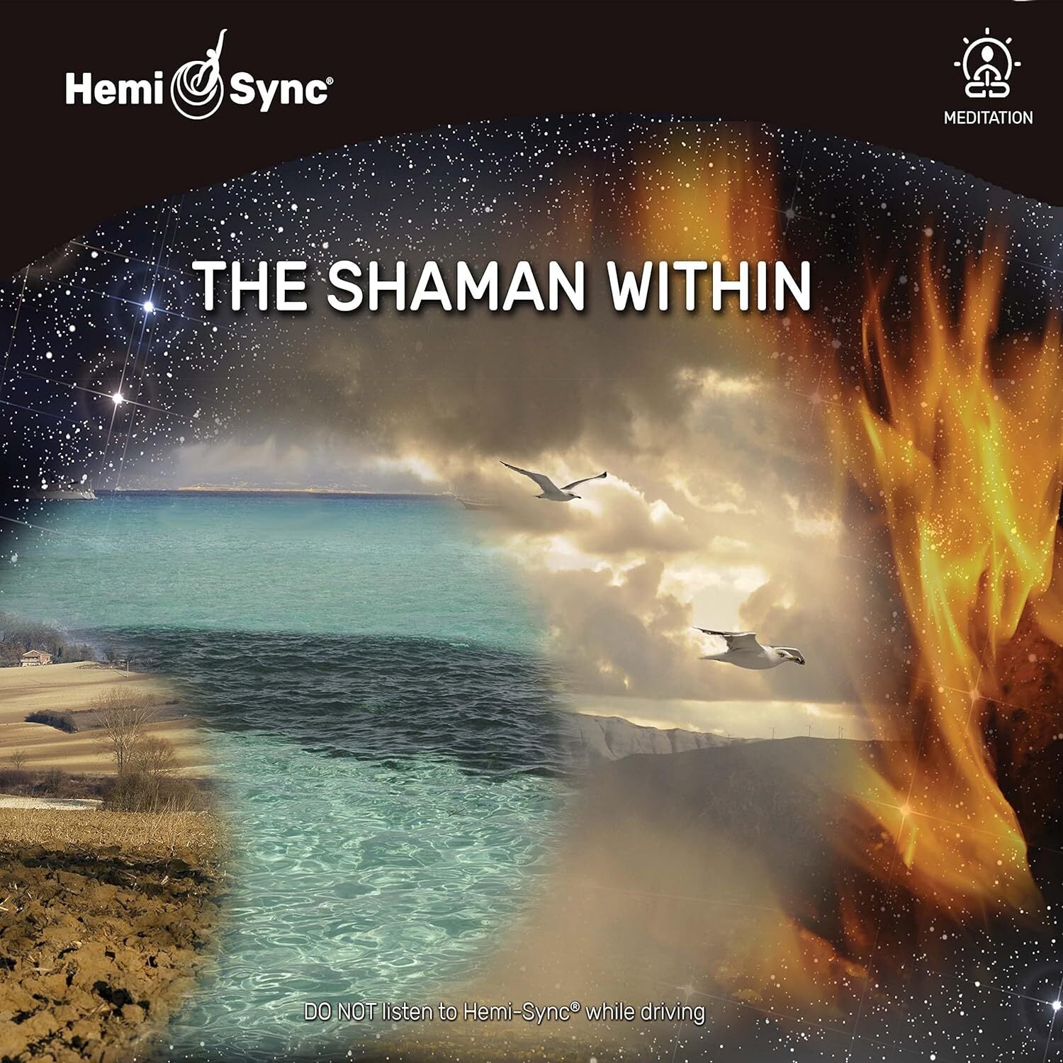 The Shaman Within