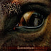 Lammendam (Ltd. on Orange & Black