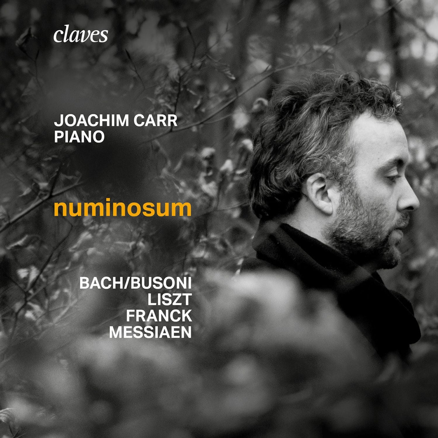 Joachim Carr: Numinosum