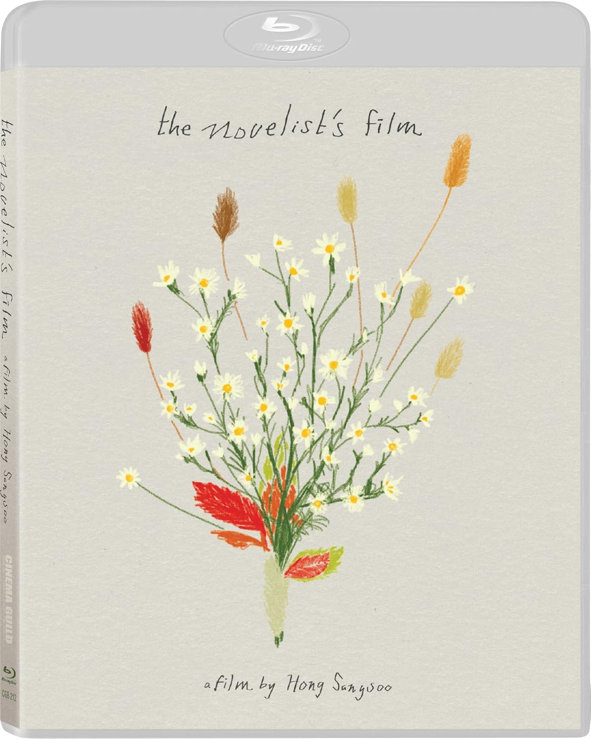 The Novelist's Film