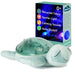 Cloud B - Tranquil Turtle, Green - (CB7902-GR)