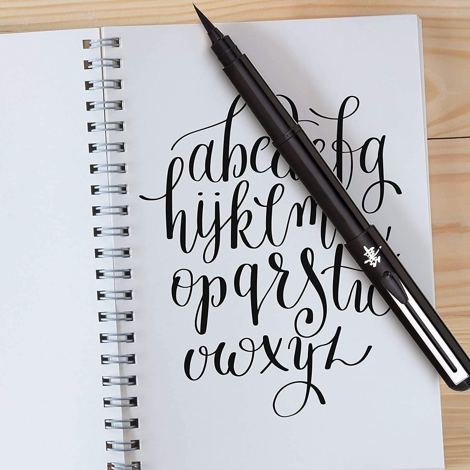 Pentel Fountain Brush Pen - Black ink, single piece