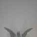Pity/Piety