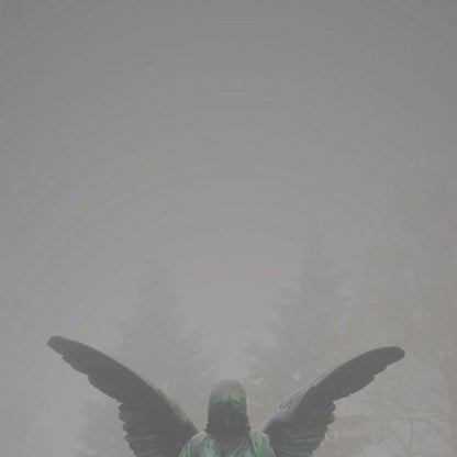 Pity/Piety