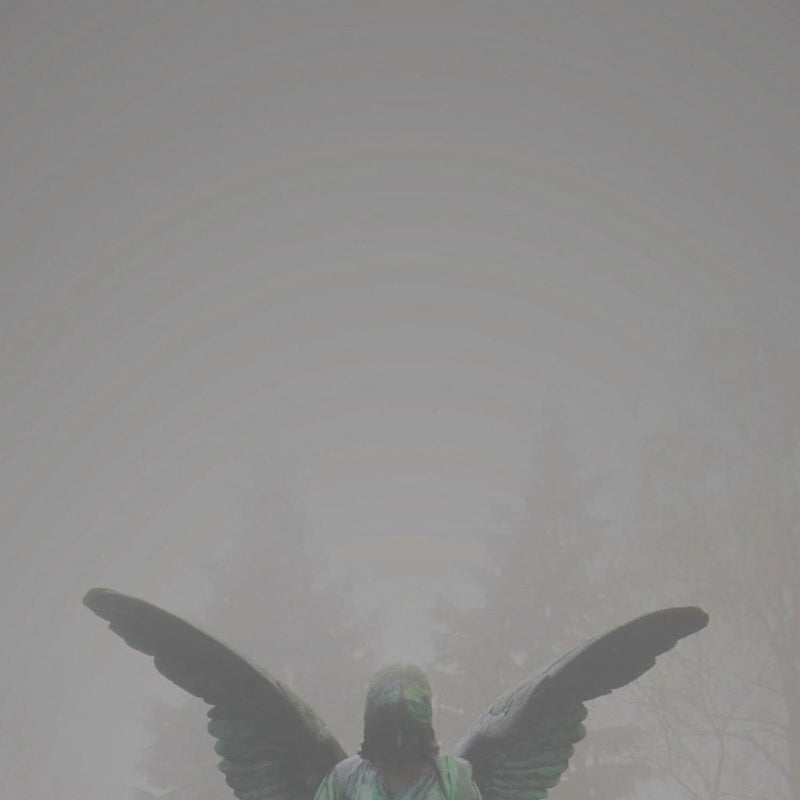 Pity/Piety