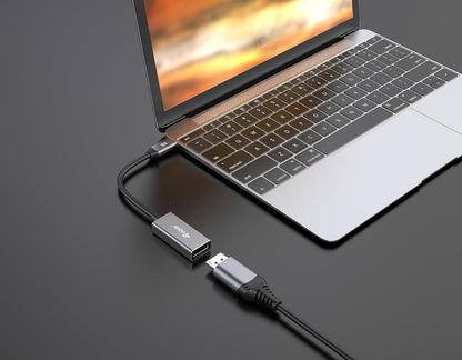 Equip 133493 USB-C to DisplayPort 1.4 Adapter 8K/30Hz