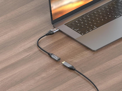 Equip 133446 DisplayPort 1.4 to HDMI Adapter 8K/60Hz