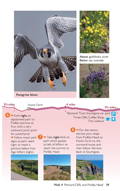 OS Short Walks Made Easy - Gower and Swansea Bay