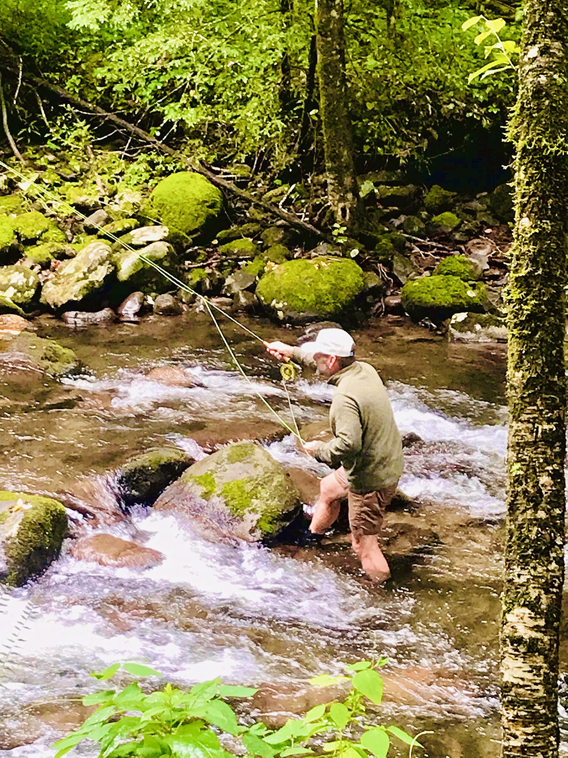 Searching for Home Waters