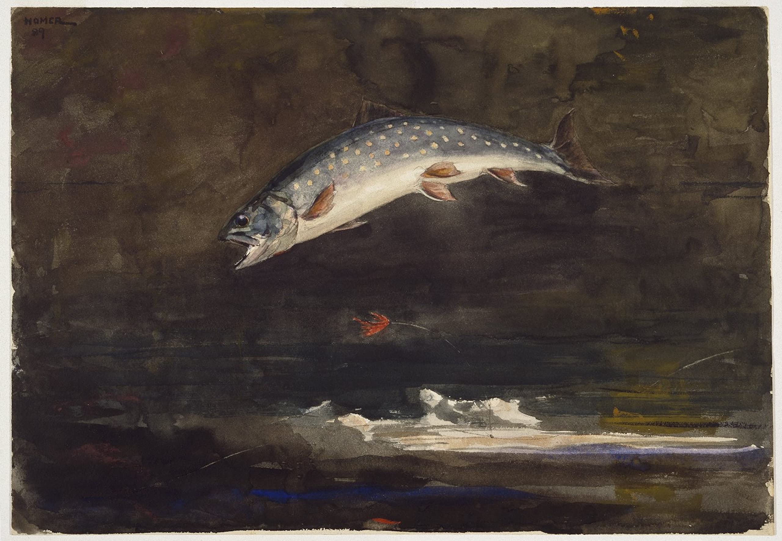 Searching for Home Waters