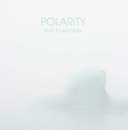 POLARITY - an acoustic jazz project