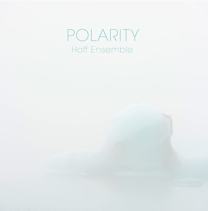 POLARITY - an acoustic jazz project