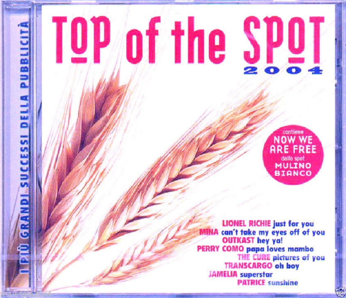 Top of the Spot 2004