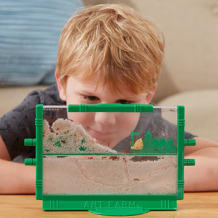 Uncle Milton Original Ant Farm