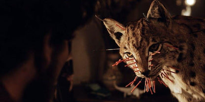 The Devil's Tail - Das Böse lauert überall (uncut Kinofassung)