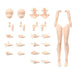 30MS Optional Body Parts Arm Parts Leg Parts Colour A (30 Minutes Sisters