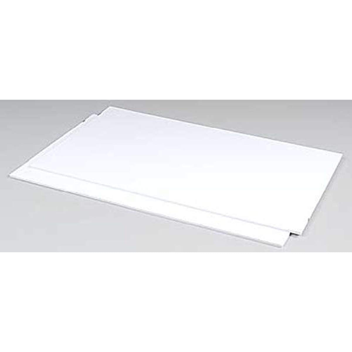 Plastruct 91108 White Sheet Styrene .125" (2), 91108
