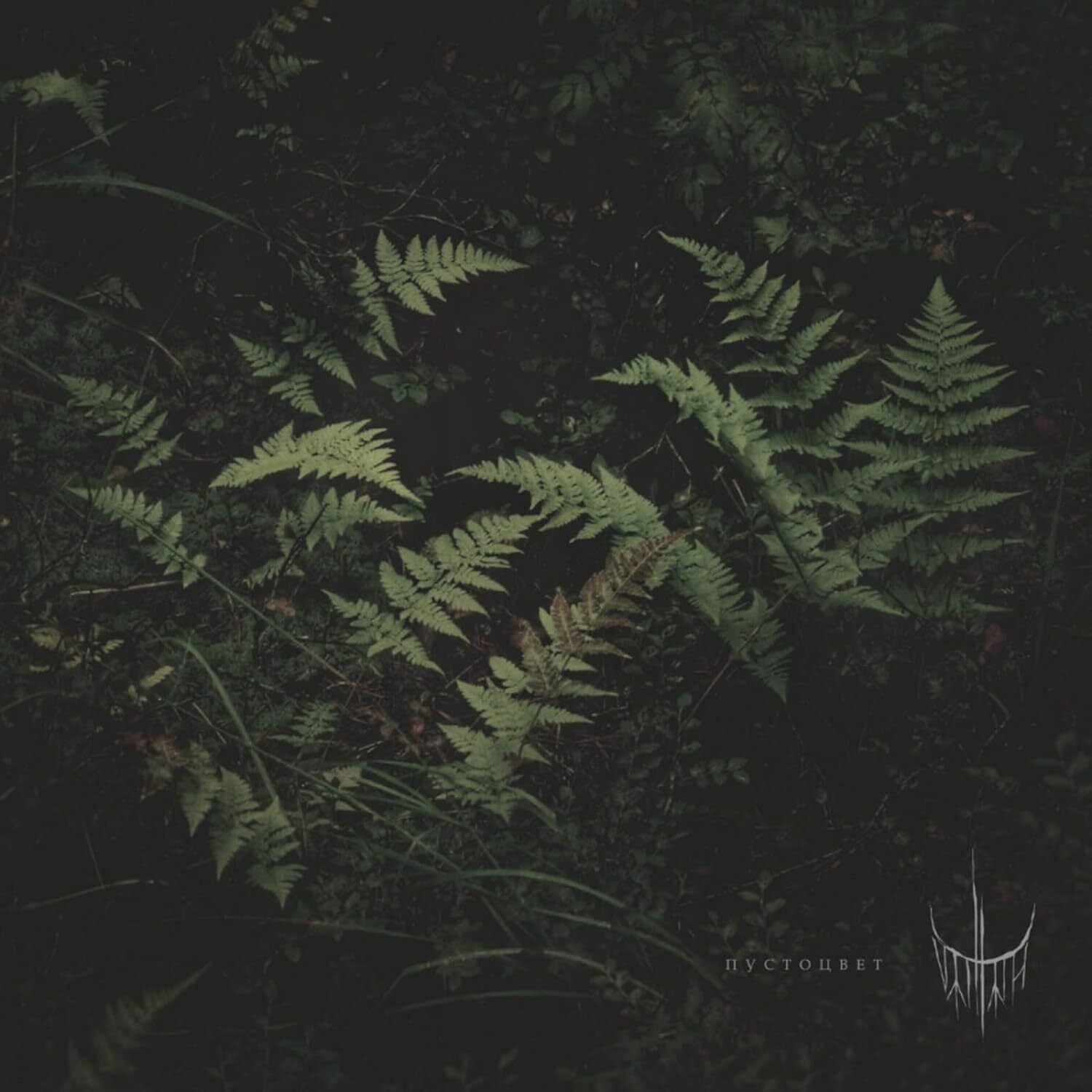 Pustotsvet (Voidflower)