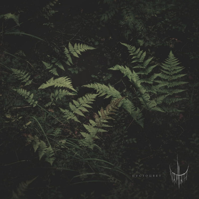 Pustotsvet (Voidflower)