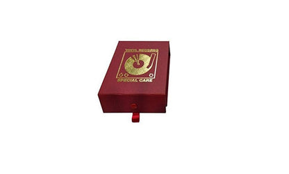 Simply Analogue High Quality Vinyl Cleaning Kit Red Leather
