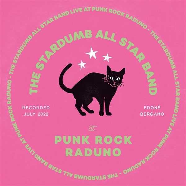 Live at Punk Rock Raduno