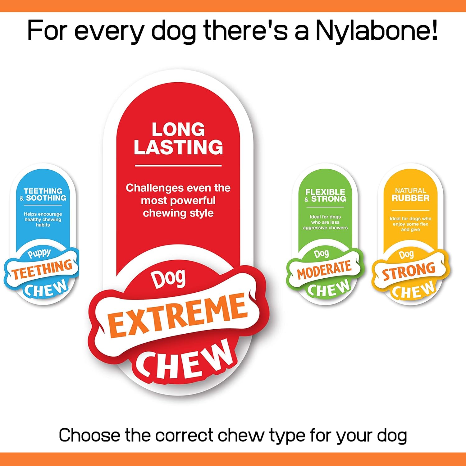 Nylabone Dura Chew Extreme Tough Dog Chew Toy Bone, Bacon Flavour, XL, for Dogs over 23 kg